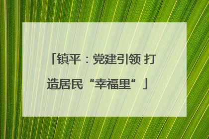 镇平：党建引领 打造居民“幸福里”