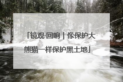 镜观·回响｜像保护大熊猫一样保护黑土地
