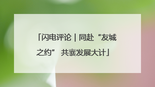 闪电评论｜同赴“友城之约” 共襄发展大计