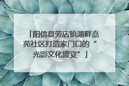 阳信县劳店镇湖畔嘉苑社区打造家门口的“光影文化盛宴”
