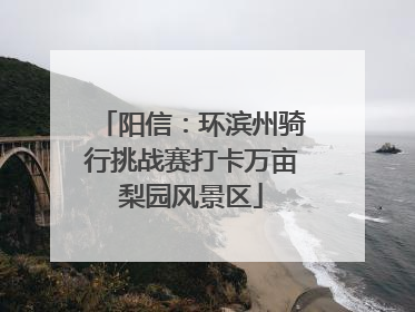 阳信：环滨州骑行挑战赛打卡万亩梨园风景区