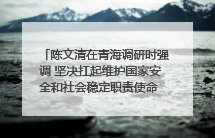 陈文清在青海调研时强调 坚决扛起维护国家安全和社会稳定职责使命 为谱写中国式现代化青海篇章贡献政法力量