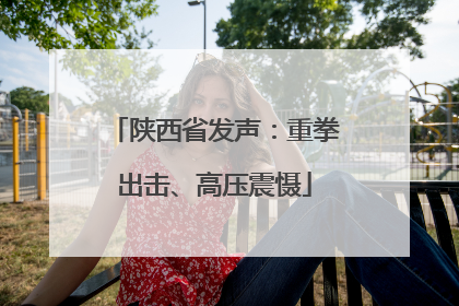 陕西省发声：重拳出击、高压震慑