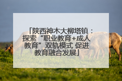 陕西神木大柳塔镇：探索“职业教育+成人教育”双轨模式 促进教育融合发展
