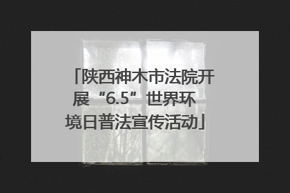 陕西神木市法院开展“6.5”世界环境日普法宣传活动