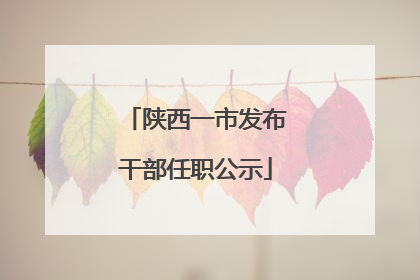 陕西一市发布干部任职公示