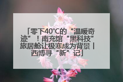 零下40℃的“温暖奇迹”！南充馆“黑科技”旅居舱让极寒成为背景丨西博寻“新”记