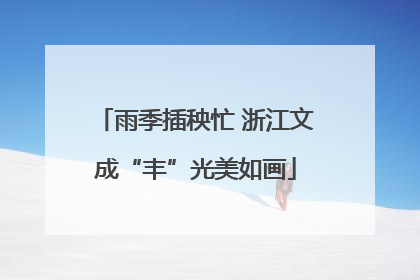 雨季插秧忙 浙江文成“丰”光美如画