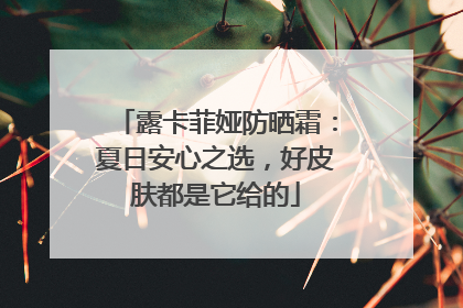 露卡菲娅防晒霜：夏日安心之选，好皮肤都是它给的