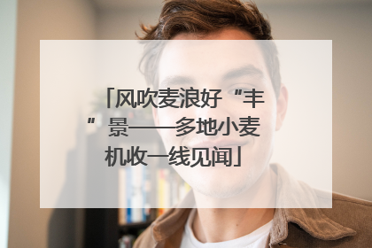 风吹麦浪好“丰”景——多地小麦机收一线见闻