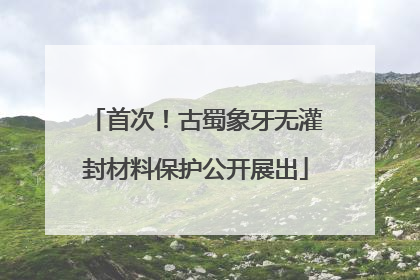 首次！古蜀象牙无灌封材料保护公开展出