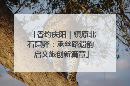 香约庆阳｜镇原北石窟驿：承丝路遗韵 启文旅创新篇章