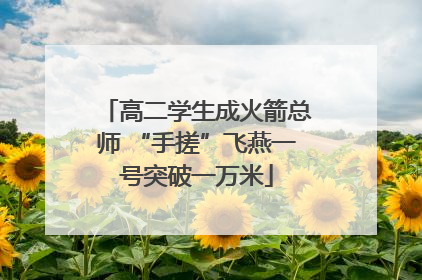 高二学生成火箭总师 “手搓”飞燕一号突破一万米