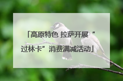高原特色 拉萨开展“过林卡”消费满减活动