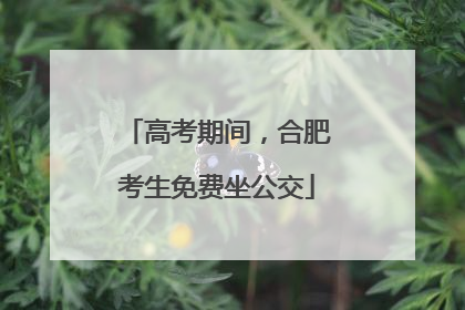 高考期间，合肥考生免费坐公交