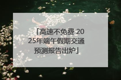 高速不免费 2025年端午假期交通预测报告出炉