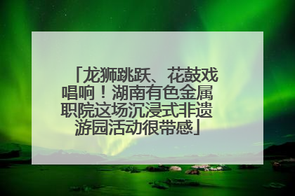 龙狮跳跃、花鼓戏唱响！湖南有色金属职院这场沉浸式非遗游园活动很带感