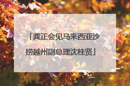 龚正会见马来西亚沙捞越州副总理沈桂贤