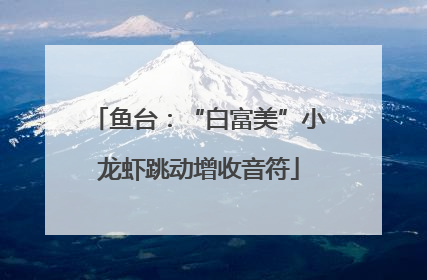 鱼台：“白富美”小龙虾跳动增收音符