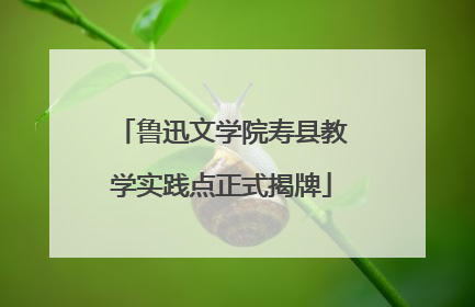 鲁迅文学院寿县教学实践点正式揭牌