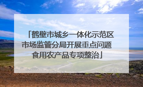 鹤壁市城乡一体化示范区市场监管分局开展重点问题食用农产品专项整治