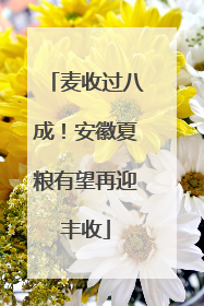 麦收过八成！安徽夏粮有望再迎丰收