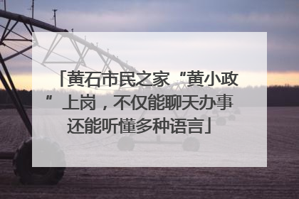 黄石市民之家“黄小政”上岗，不仅能聊天办事还能听懂多种语言