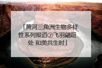 黄河三角洲生物多样性系列报道②飞羽翩跹处 和美共生时