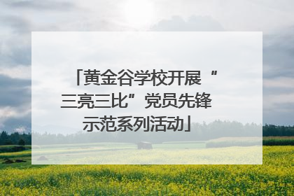 黄金谷学校开展“三亮三比”党员先锋示范系列活动