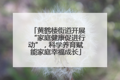 黄鹤楼街道开展“家庭健康促进行动”，科学养育赋能家庭幸福成长