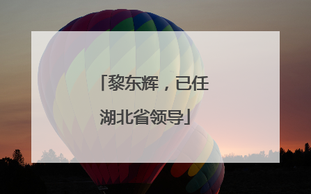 黎东辉，已任湖北省领导