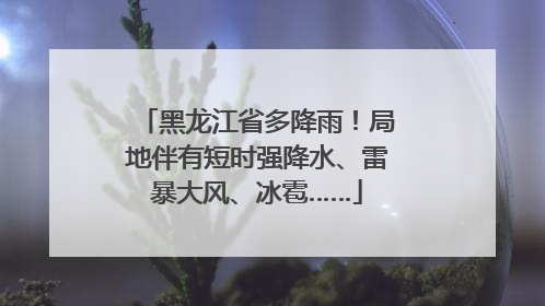 黑龙江省多降雨！局地伴有短时强降水、雷暴大风、冰雹……