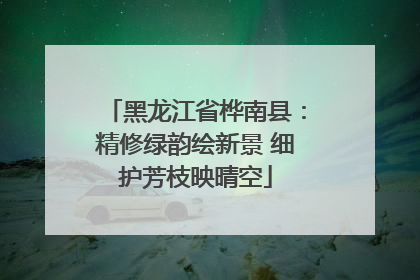 黑龙江省桦南县：精修绿韵绘新景 细护芳枝映晴空