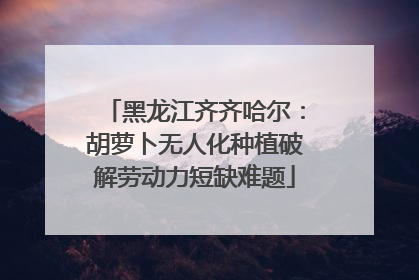 黑龙江齐齐哈尔：胡萝卜无人化种植破解劳动力短缺难题