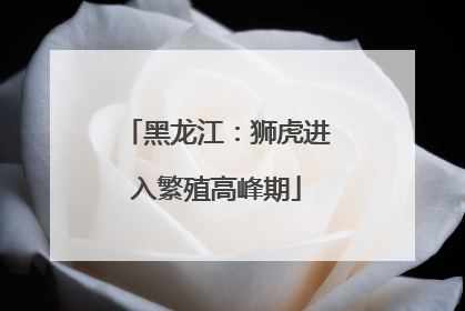 黑龙江：狮虎进入繁殖高峰期