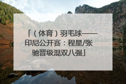 （体育）羽毛球——印尼公开赛：程星/张驰晋级混双八强