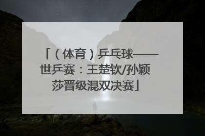 （体育）乒乓球——世乒赛：王楚钦/孙颖莎晋级混双决赛