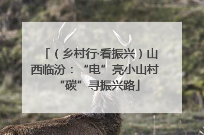 （乡村行·看振兴）山西临汾：“电”亮小山村 “碳”寻振兴路