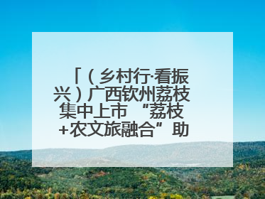 （乡村行·看振兴）广西钦州荔枝集中上市 “荔枝+农文旅融合”助农增收