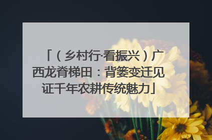 （乡村行·看振兴）广西龙脊梯田：背篓变迁见证千年农耕传统魅力