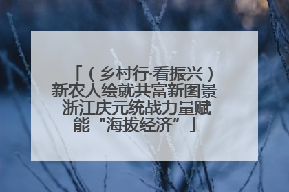（乡村行·看振兴）新农人绘就共富新图景 浙江庆元统战力量赋能“海拔经济”