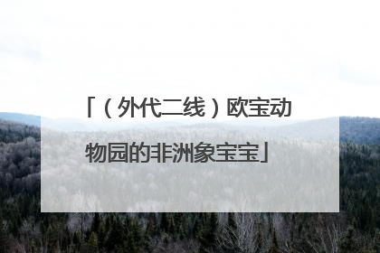 （外代二线）欧宝动物园的非洲象宝宝