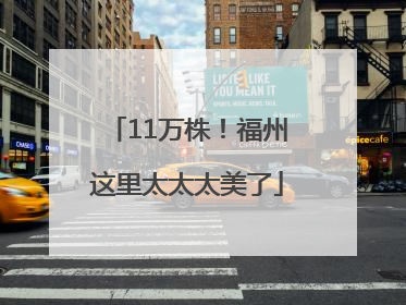 11万株！福州这里太太太美了