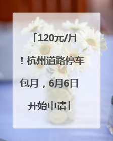 120元/月！杭州道路停车包月，6月6日开始申请