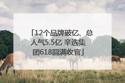 12个品牌破亿、总人气5.5亿 辛选集团618圆满收官
