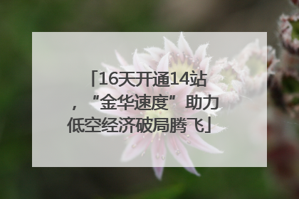 16天开通14站，“金华速度”助力低空经济破局腾飞