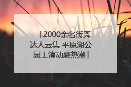 2000余名街舞达人云集 平原湖公园上演动感热潮