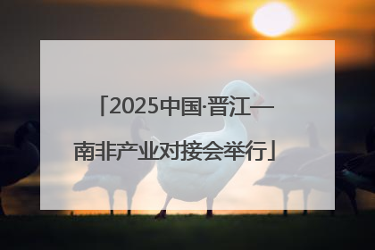2025中国·晋江—南非产业对接会举行
