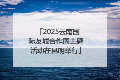 2025云南国际友城合作周主题活动在昆明举行