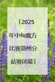 2025年中匈魔方比赛郑州分站赛闭幕